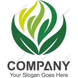 Eco-Friendly Growth