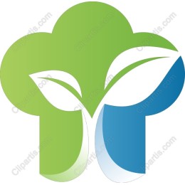 Eco-Friendly Chef Hat