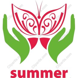 Summer Butterfly