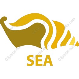 Luxurious Seashell