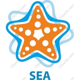 Vibrant Sea Star