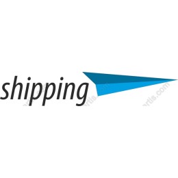 Dynamic Shipping with Paper Airplane Icon