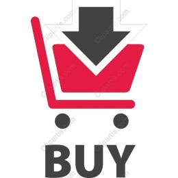 Modern Buy Now Icon