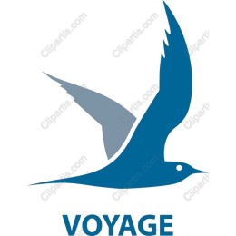 Voyage - Soaring Bird