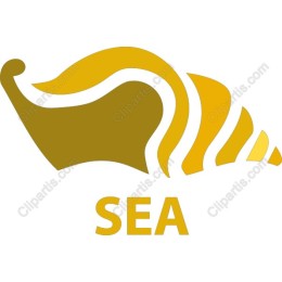 Golden Sea Shell