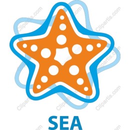 Bright Orange Starfish