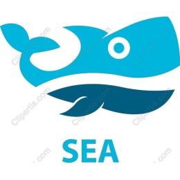 Vibrant Whale - Ocean Themed