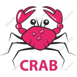 Charming Pink Crab