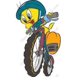 Whimsical Bird Bicycle