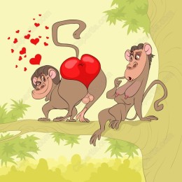 Playful Monkey Love