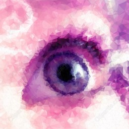 Geometric Eye