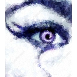 Geometric Low-Poly Eye