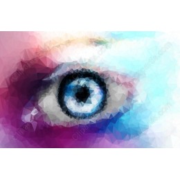 Polygonal Eye