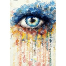 Geometric Eye