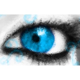 Crystal Clear Vision