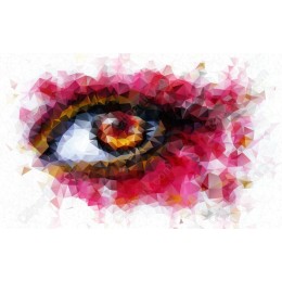 Vibrant Eye in Geometric Style