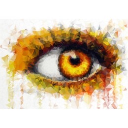 Amber Eye Geometric