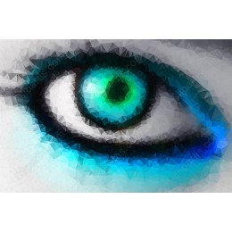 Geometric Eye