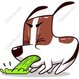 Whimsical Sick Pup