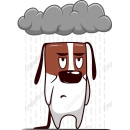 Melancholy Dog