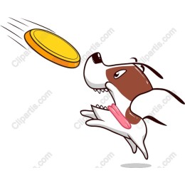 Energetic Dog Jumping for Frisbee