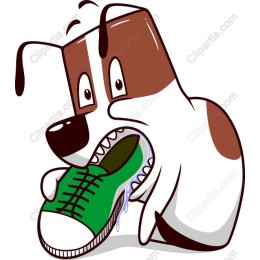 Playful Dog with Sneaker