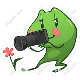 Charming Frog Photographer