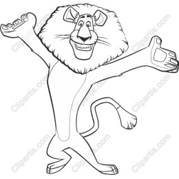 Playful Lion