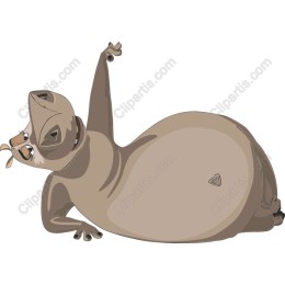 Chubby Playful Animal