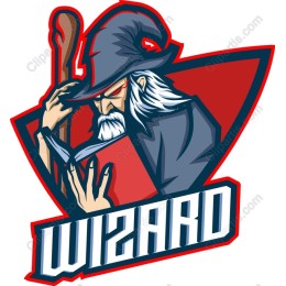 Captivating Wizard