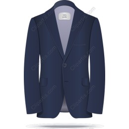 Navy Blue Blazer