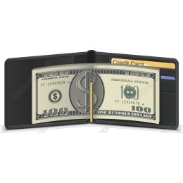 Wallet with $100 Bill and Credit Cards