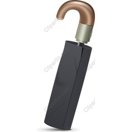 Elegant Black Umbrella