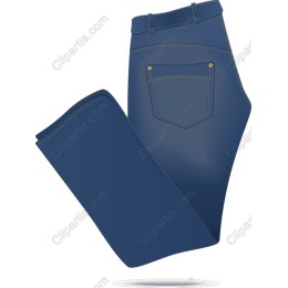 Stylish Blue Denim Jeans