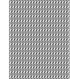 Elegant Black and White Geometric Pattern