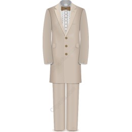 Elegant Beige Formal Suit