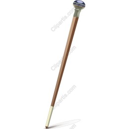 Elegant Walking Stick