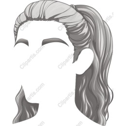 Elegant Ponytail