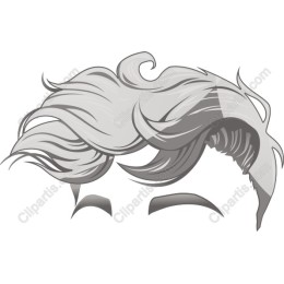 Elegant Hairstyle