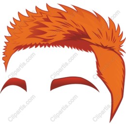 Bold Orange Hairstyle