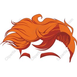 Vibrant Orange-Red Hairstyle