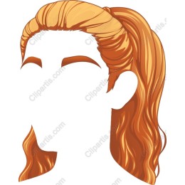 Elegant Ponytail
