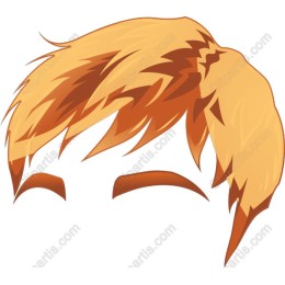 Youthful Shaggy Hair