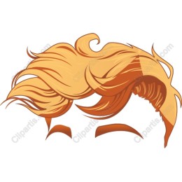 Stylish Golden Hair