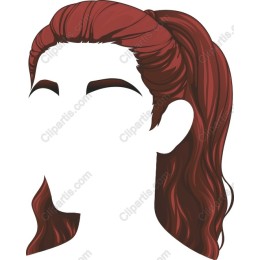 Elegant Ponytail