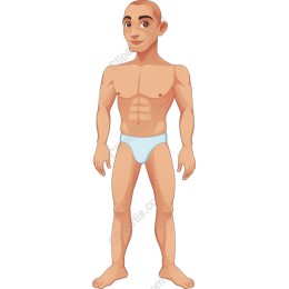 Toned Male Fitness