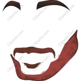 Stylized Facial