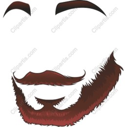 Stylish Beard