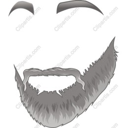 Stylized Beard
