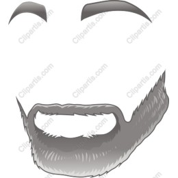Stylish Beard